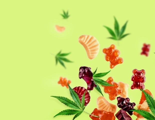 Exploring Medical Benefits of THC Gummies for Pain & Anxiety |...