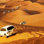 Dubai Desert Safari