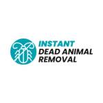 Instant Dead Animal Removal