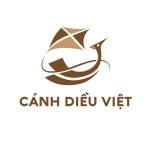 Máy bay phun thuốc DJI Agras T40 Cánh Diều Việt