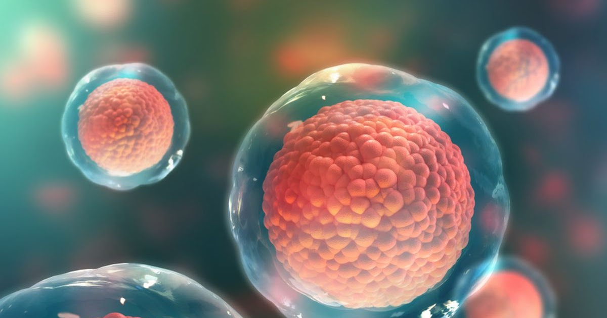 Innovations in IVF: How Stem Cells Are Transforming Fertility Treatment