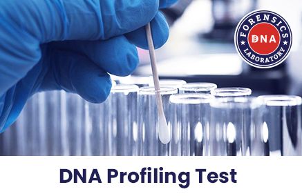 What Does the DNA Profiling Service Provide?