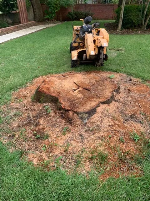 Stump Grinding Stump Removal Services