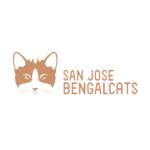 San Jose Bengal Cats