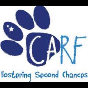 CARF Canada Dog Rescue