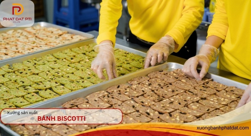 Xưởng sản xuất bánh biscotti dinh dưỡng GIÁ SỈ uy tín tại HCM