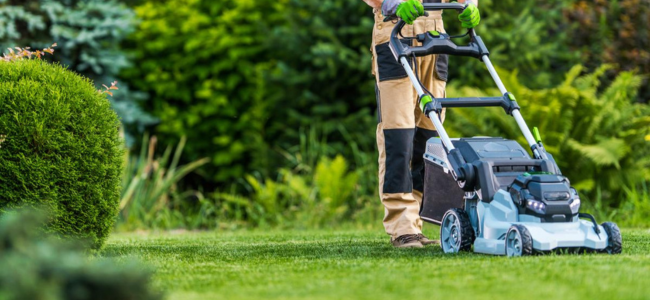 Transform Your Lawn with Willow Landscape & Lawncare Company in Lafayette Colorado