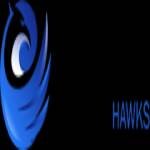 cartoon hawks
