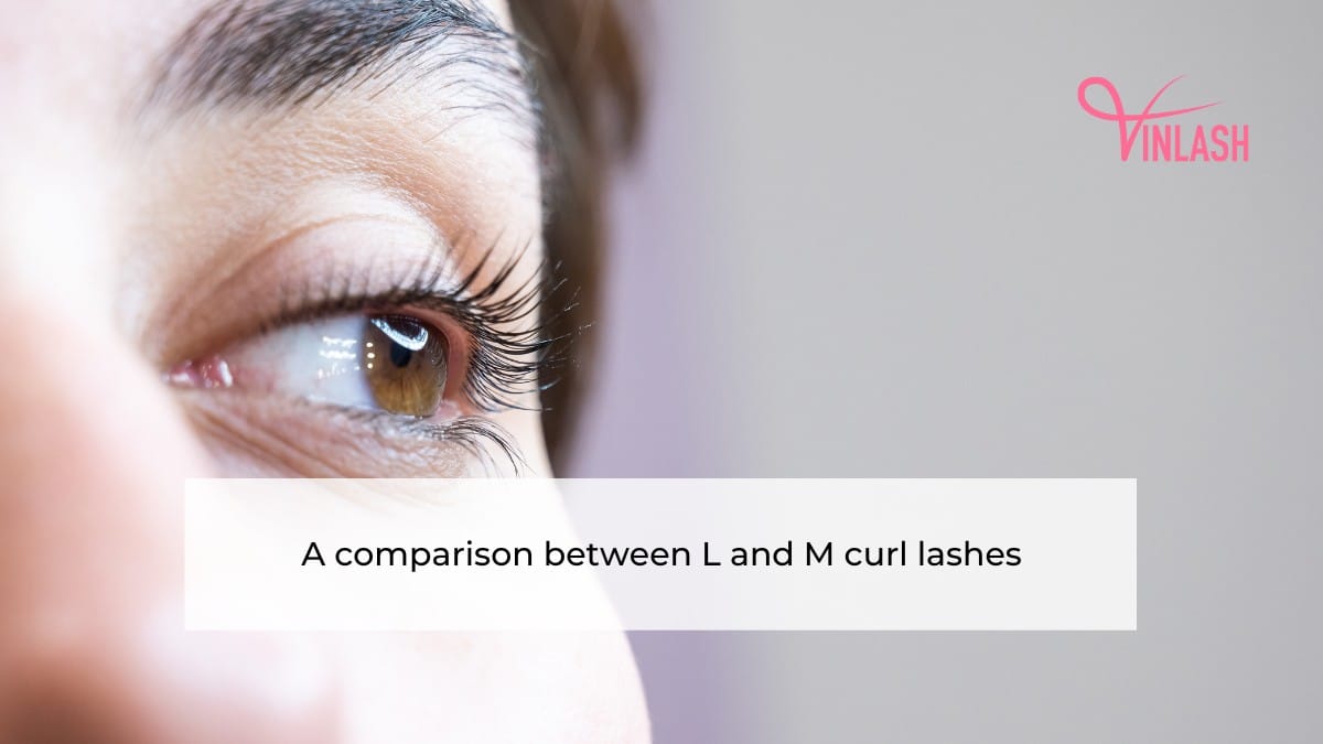 A comparison between l and m curl lashes