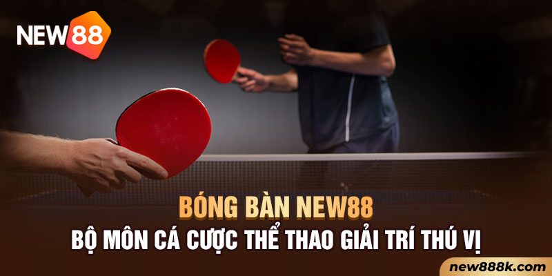 Bóng Bàn New88 - Bộ Môn Cá Cược Thể Thao Giải Trí Thú Vị