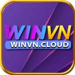 winvn cloud