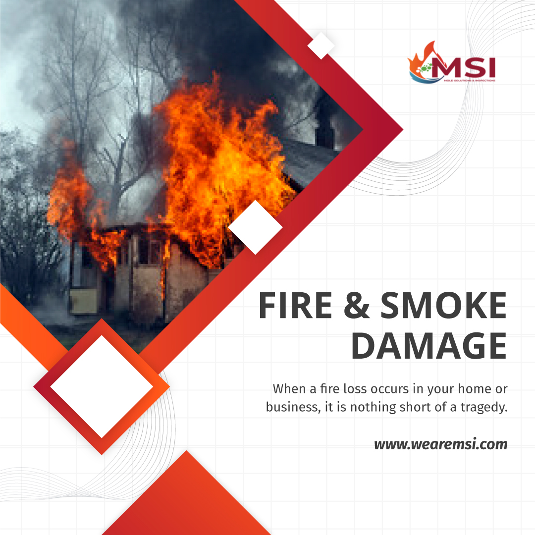 5 Unexpected Consequences in Fire Damage You Must Address – Mold Solutions & Inspections