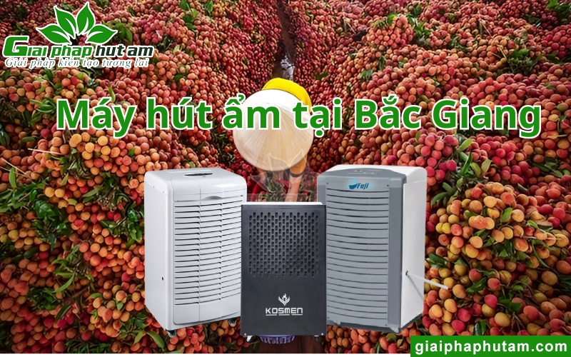 Nên Mua Máy Hút Ẩm Tại Bắc Giang Ở Đâu Tốt Nhất?