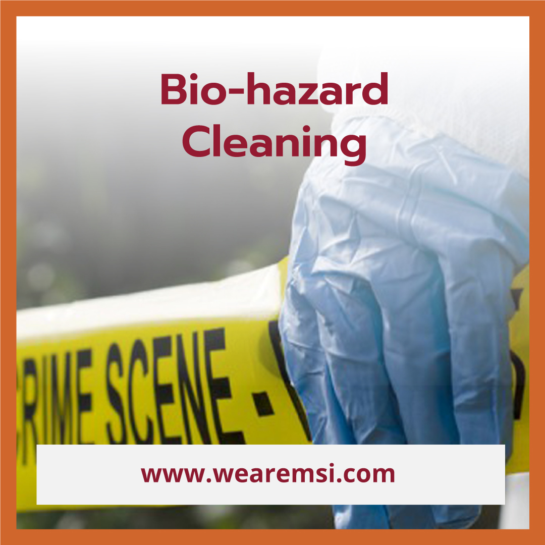 5 Strategies for Safe Bio-hazard Cleaning – Mold Solutions & Inspections