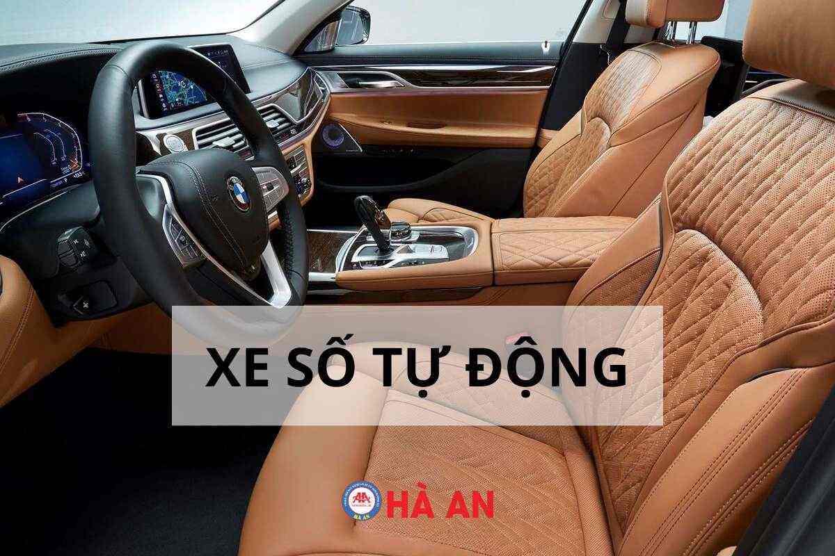 Xe Số Tự Động - Chi tiết cách lái cho người mới