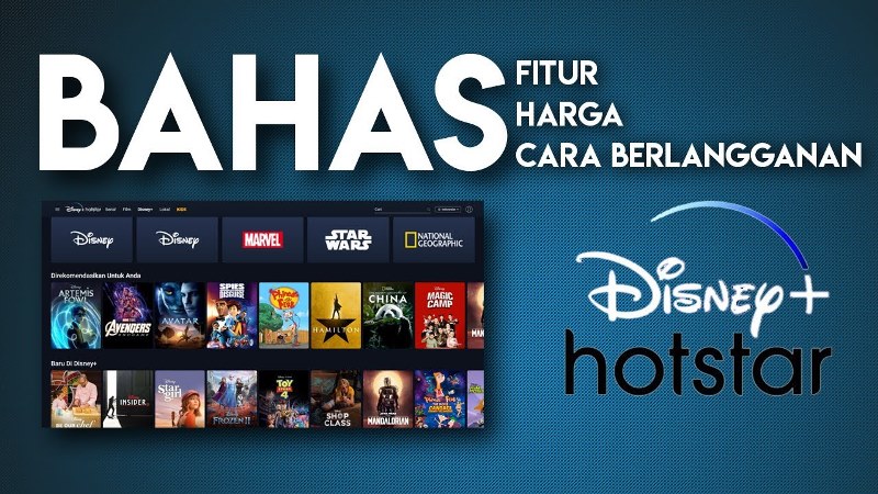 Cara Berlangganan Disney Hotstar di TV yang Benar (Pakai Gambar)