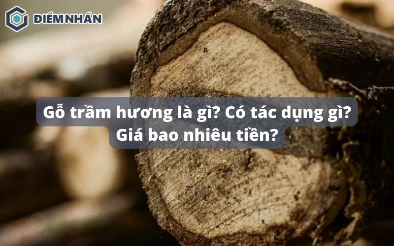 Gỗ trầm hương là gì? Có tác dụng gì? Giá bao nhiêu tiền?