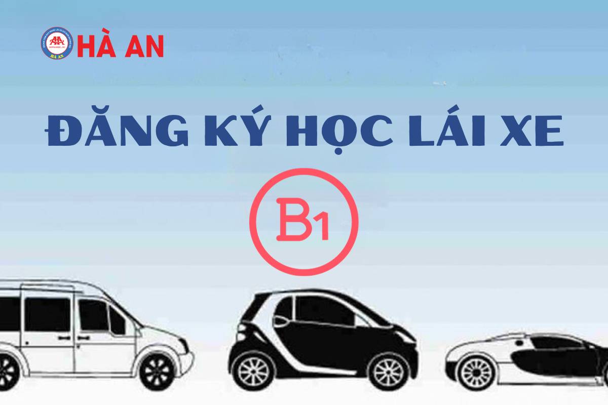 Bí quyết Đăng Ký Học Lái Xe B1 nhanh chóng, tiết kiệm nhất