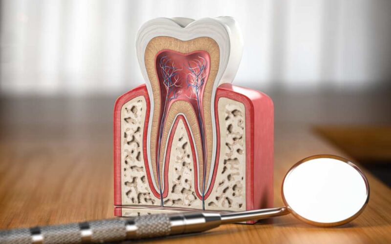 Myths and Facts About Root Canal Treatment | Vasant Kunj, Delhi |