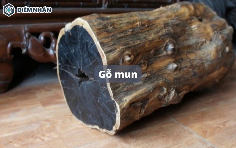 Gỗ mun là gì? Có bao nhiêu loại? Giá bao nhiêu tiền 1kg?