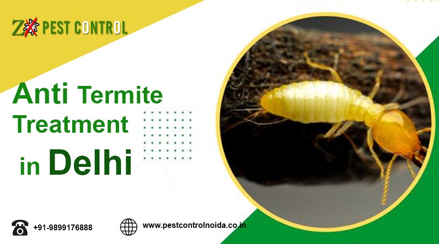 Eco-Friendly Anti Termite Treatment Solutions for Your Home in Delhi – Pest Control Noida
