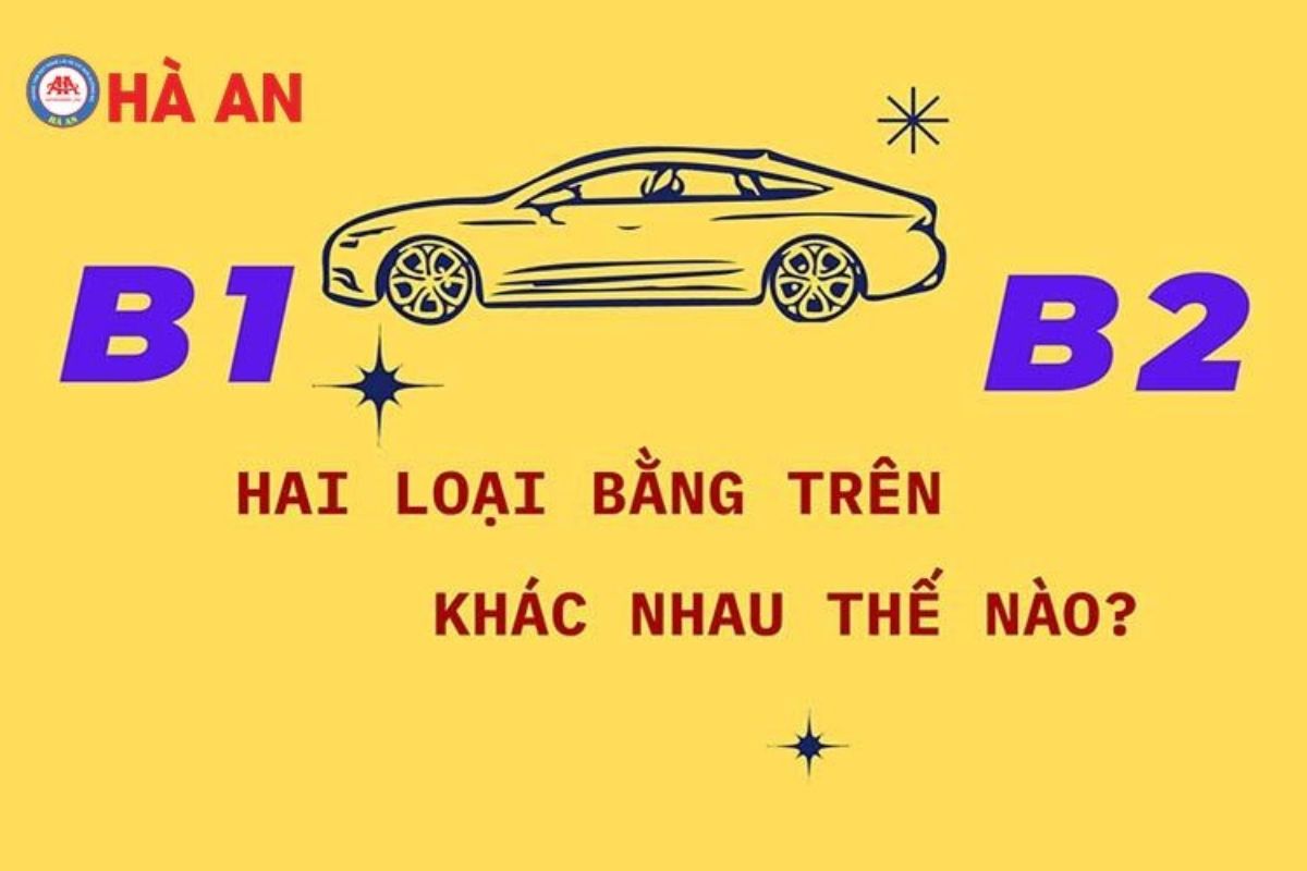 Phân biệt dễ dàng bằng lái xe B1 và B2 có gì khác nhau