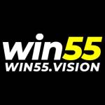 WIN55 VISION