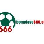 Bongdaso66