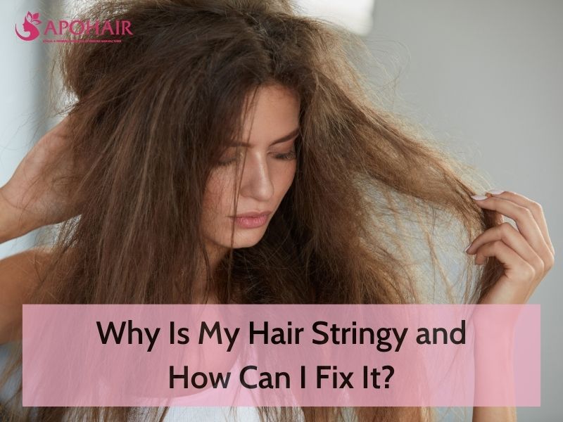 Why Is My Hair Stringy and How Can I Fix It? | Apohair