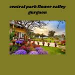 Central Gurgaon