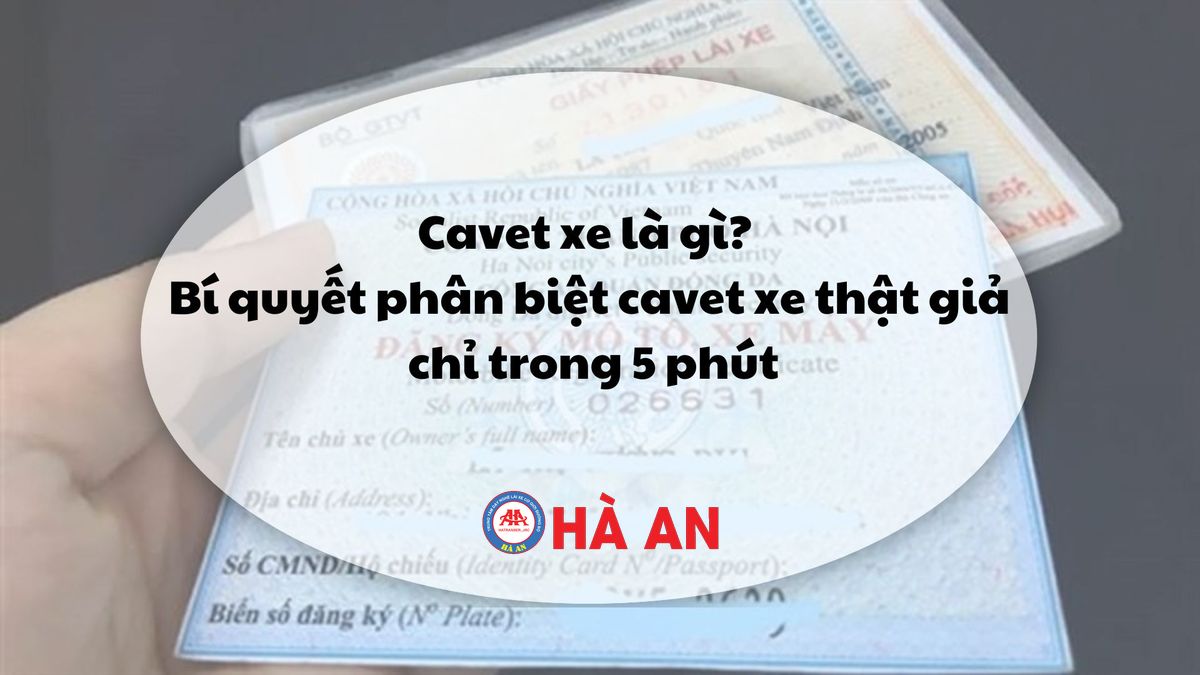 Cavet xe là gì? Bí quyết phân biệt cavet xe thật giả chỉ trong 5 phút - Học lái xe Hà An