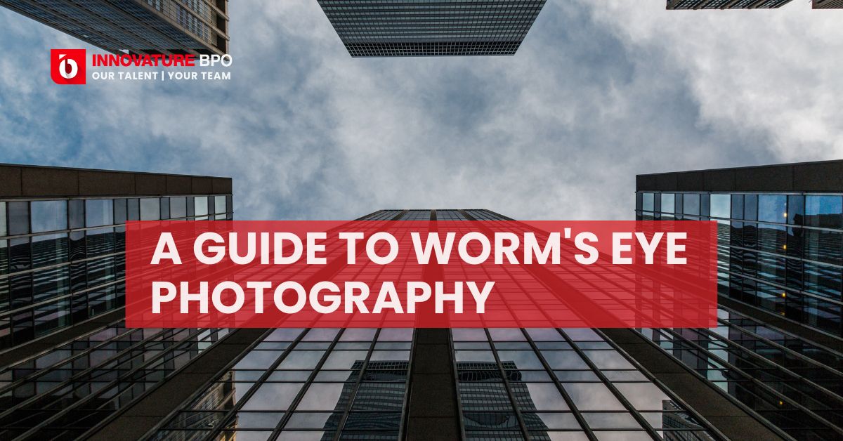 A Complete Guide to Worms Eye View Photography