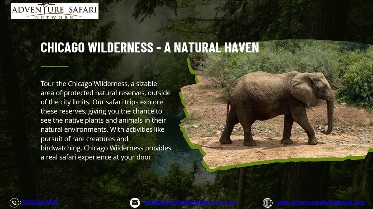 Wild Life Adventure Safari Holidays Tours in Chicago Af...