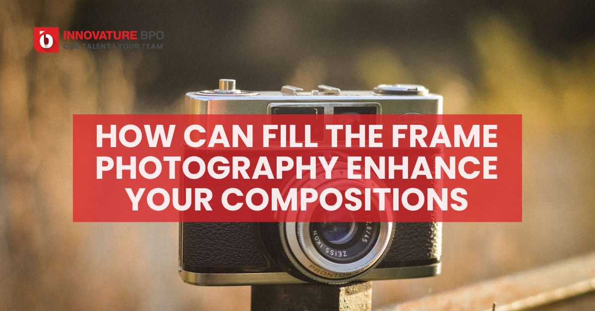 How Can Fill the Frame Photography Enhance Your Compositions