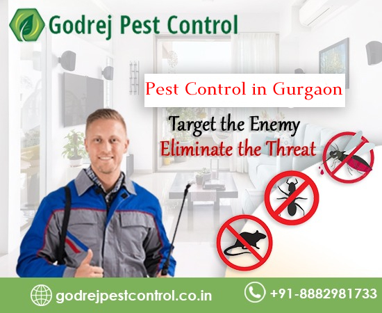 Importance of Commercial Pest Control in Gurgaon: Keeping Your Business Safe and Healthy