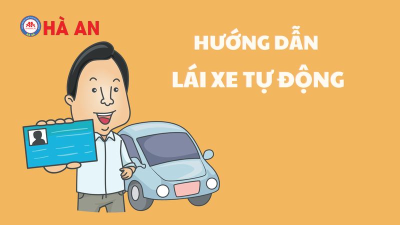 Hướng dẫn học lái xe số tự động đúng, dễ hiểu nhất 2023