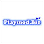 Playmods biz