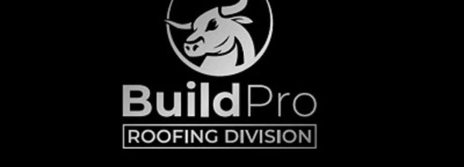 BuildPro Roofing Company