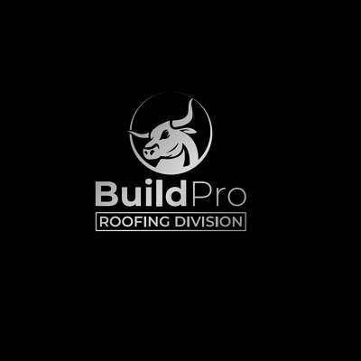 BuildPro Roofing Company