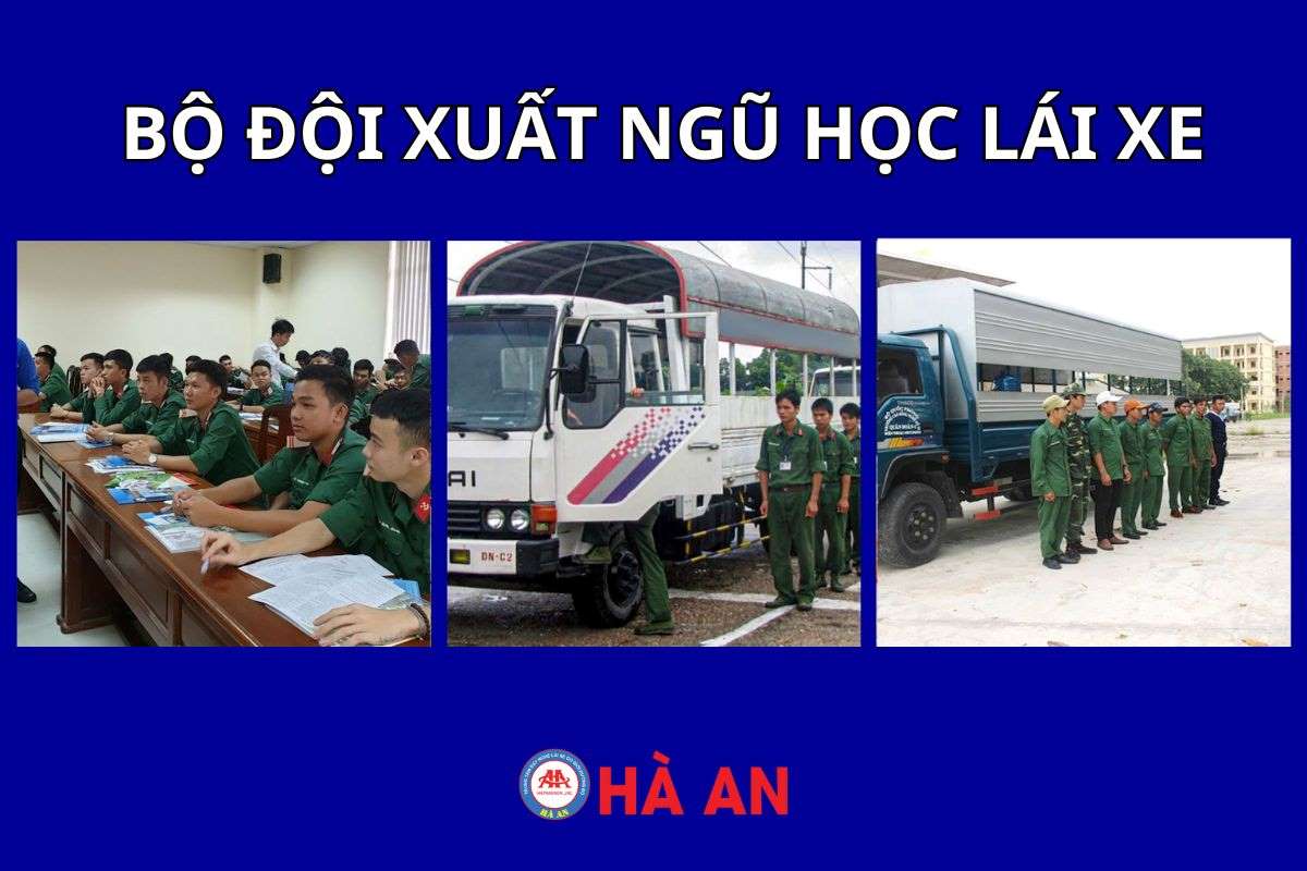 Bộ đội xuất ngũ học lái xe được hưởng những quyền lợi gì?