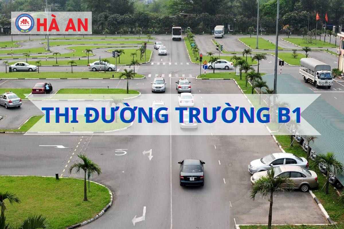 Bí quyết thi đường trường B1 đậu ngay từ lần đầu tiên