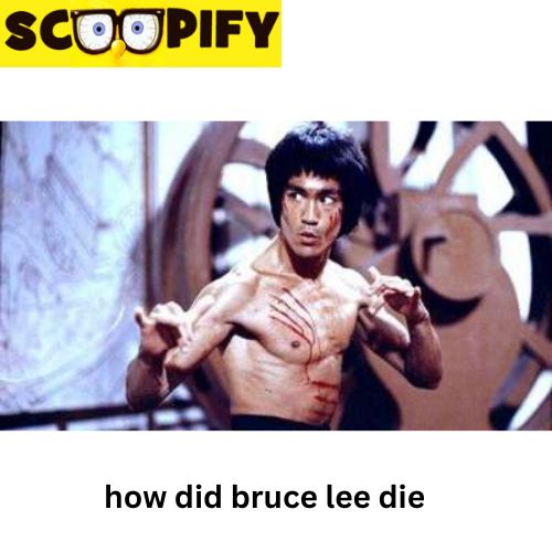 Unraveling the Enigma: How Did Bruce Lee Die? | TheAmberPost