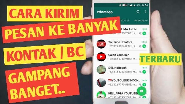 Cara Kirim Pesan Banyak di Whatsapp (Broadcast) Android & iOS