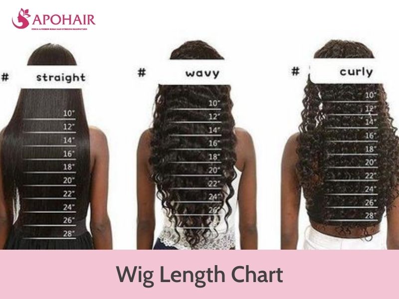 Wig Length Chart: How To Choose The Right Length | Apohair