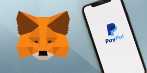 Integrating Digital Wallets: How to Use MetaMask with PayPal? - fixcryptocoins