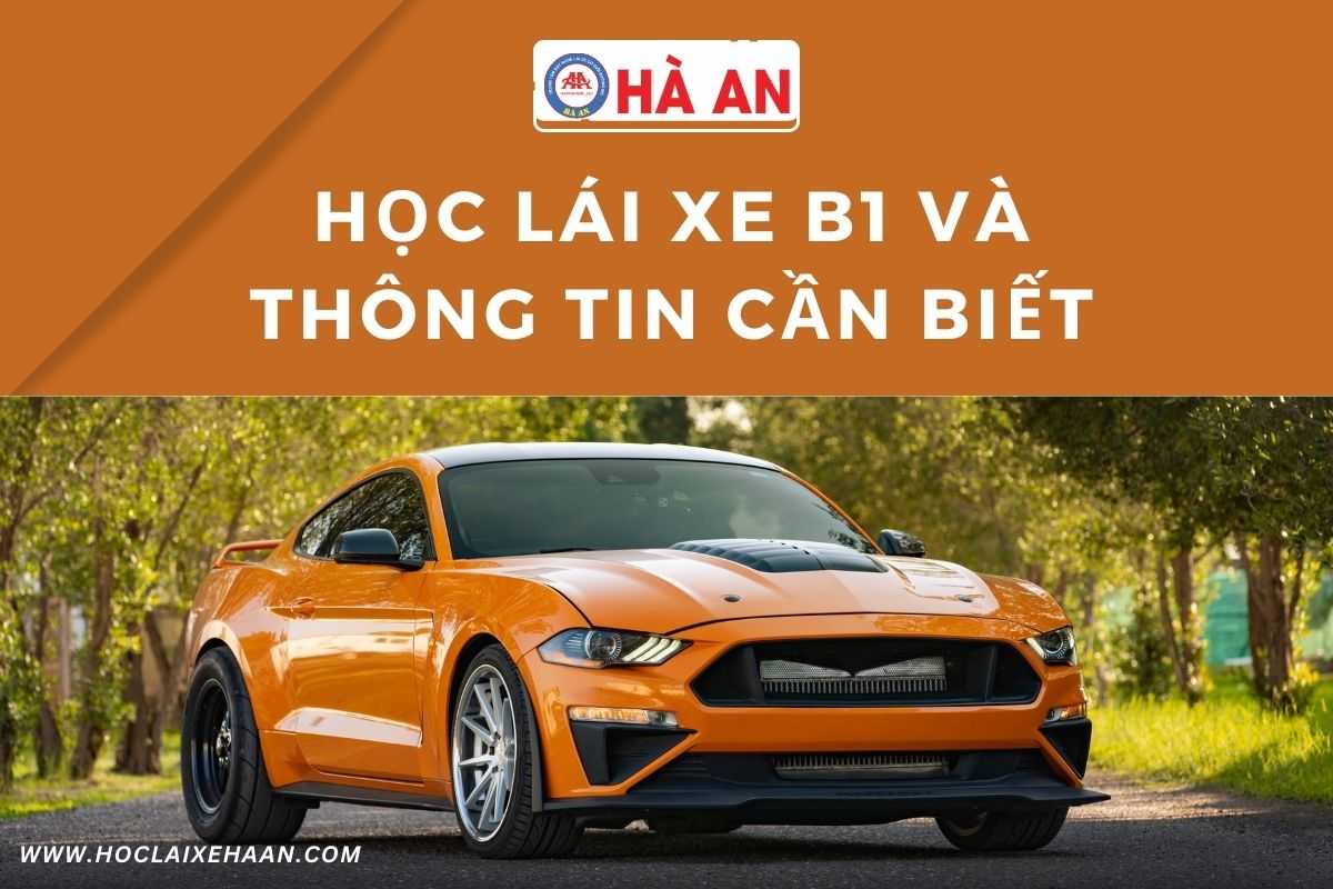 Bằng lái xe B1: Những điều cần biết trước khi đăng ký thi