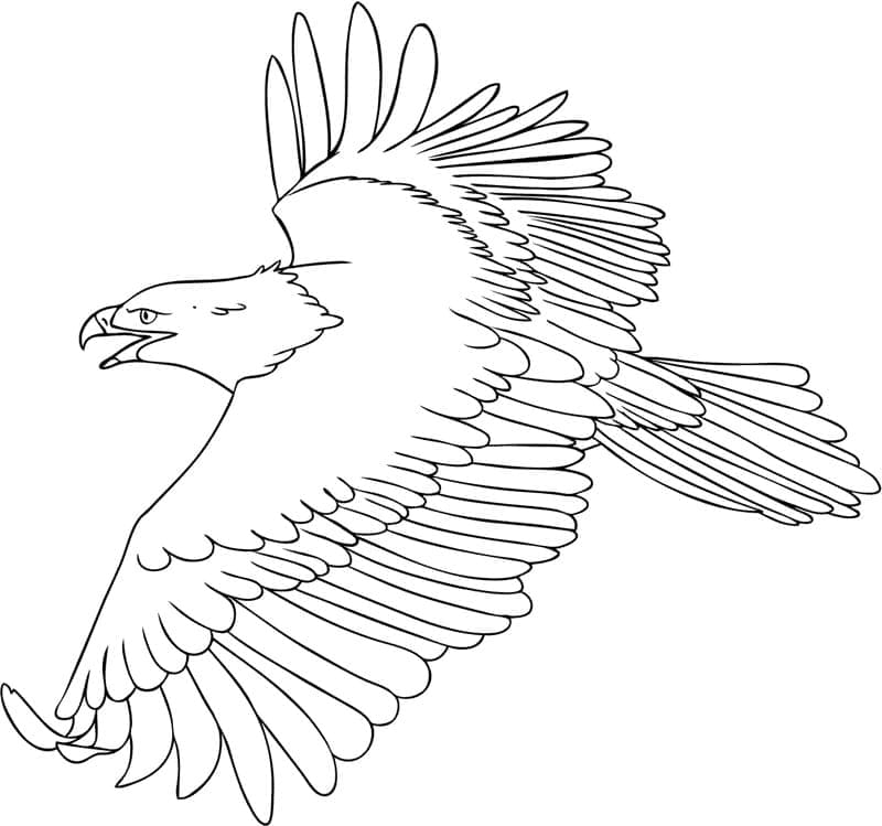 Tô Màu Chim Đại Bàng - Biểu Tượng Của Sự Tự Do Và Sức Mạnh - Tô màu trực tuyến