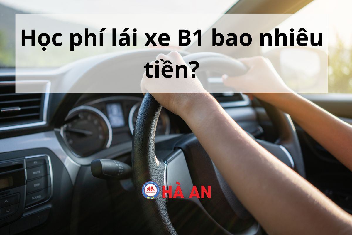 Học phí lái xe B1 mới nhất 2024