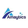 Amaytics Digital Services Pvt Ltd