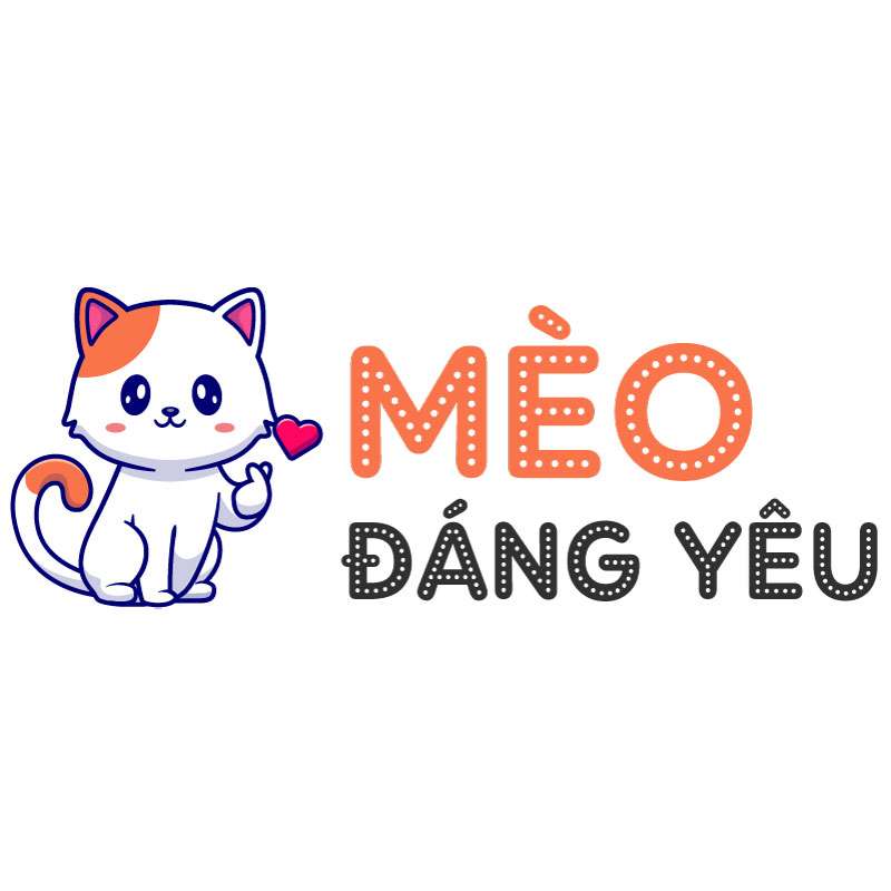 Mèo Đáng Yêu